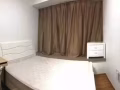 巴西立oasis@elias ( 綠景苑） 超大大普通房出租（可報地址）