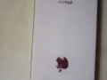 手機出售