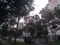 西海岸Block 708 單間普通房出租