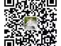 三八旺510A 普通房出租，12月20號可入住，可煮