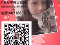 最新厨师好单，薪水高详情加微信xiaobing18243550561