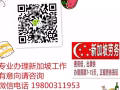 新加坡一手工作单 各个行业 任何工种 办理不成功不收费 欢迎微信咨询