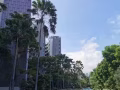 金文泰高端新公寓有兩間房短租！12月29日到1月9日之間均可短租
