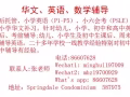 AEIS 雅思考试小学英语语法作文初中英语阅读语法写作来坡读书中国孩子补习英语成