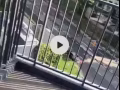 ??来！全新公寓，一室一厅studio，大巴窑、布莱德，大阳台，住的那是相当舒服