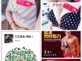 艾芘基妮內衣