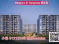 【淡濱尼聚寶園】最高升值空間 曾小楊搬入65 8121-2366 微cedchn