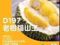正宗馬來西亞貓山王榴槤