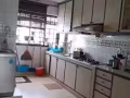巴西立大牌183