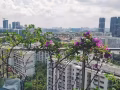 金文泰The Parc地铁站公寓普通房间出租