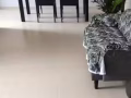义顺地铁站附近，超大主人房出租。