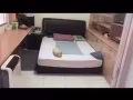 300 可包间