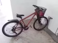 单车便宜处理
