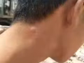 专业杀虫服务 一喷毙命。帮您解决一切虫子烦恼 全岛24小时服务