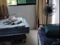 報本屋地址，9G招男搭房，隨時入住。加微信cai82857095看房