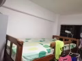 老文理有女床位出租