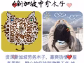 新加坡最全項目，覆蓋全島，下籤率100%有無經驗均可