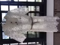 时尚品牌蕾丝短裙