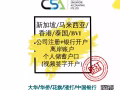 新加坡+马来西亚+香港+BVI注册公司+视频开户 (多种货币无限额/高效率)