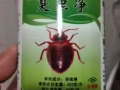 专杀臭虫特效药不杀绝不要钱