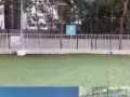 高級公寓大普通房，靠近紫線地鐵站！