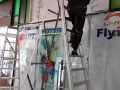 吉祥专业油漆 修补 各种拆装拆装拆 退房还原 垃圾清理 地板翻新等 搬家30起