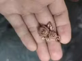 12.29回国前处理各种物品