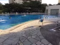 clementi Pine Grove 主人房公寓短租