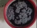 空調清洗