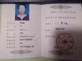 AEIS英语、GEP英语、小学及中学普通英语、成人口语及语法、小学至JC华文等。