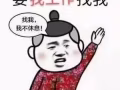 专业办理新加坡工作12年，零中介费，大型企业招工，微信:gz319504657