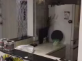 3分鐘到地鐵站，漂亮房間，女士搭房！即可入住！
