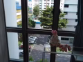 阿裕尼正地鐵站豪華公寓 精緻小巧單間 裝修精美 包水電  房東直租 沒有屋主