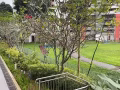 花拉公園全新王牌公寓 近SMU 全女生 環境一流 可煮 包地址送水電 折型大飄窗