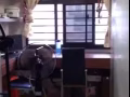 油池地铁站附近招租男搭房，可以报本屋地址