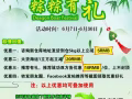 国际物流搬家海运：家具-沙发-桌椅-床-冰箱电器-机械等货海运新加坡