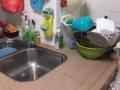 尋求女性房客