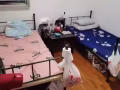 後港有床位出租僅限女生