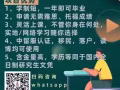 提供英文/商业管理/物流管理/会计/建筑管理/旅游与酒店管理/市场营销与零售管理