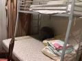 上下鋪式床低價出售