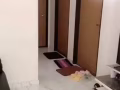 卡迪漂亮普通间$800，