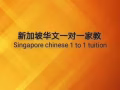新加坡中小學華文一對一補習