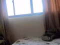 男床位出租350$ 邮区670221