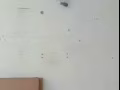 专业室内粉刷:油漆，隔间，刮大白，天花板发霉，墙体脱皮鼓包，做背景墙，电视墙，