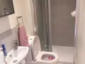 Whole bedroom apartment available