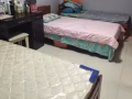 主人房女床位出租:  450    普通房床位  400