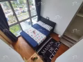 主人房 SMU NAFA 紫线花拉公园 无中介费 无屋主 越早入住越便宜可报地址