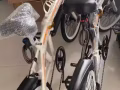 20寸折叠自行车