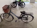 永久牌脚车