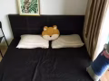 迎双11阿裕尼带阳台普通房促销出租！可住两人 价格惊喜！手慢无！